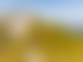 Höch Gumme – Gipfelglück mit 360°-Panorama