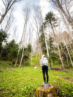 Person geniesst das Bärlauchmeer auf der Frühlingswanderung