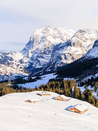 Der Blick auf Alpiglen und das Wetterhorn