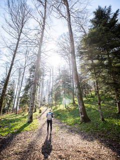 Person im Bärlauchmeer im Berner Jura