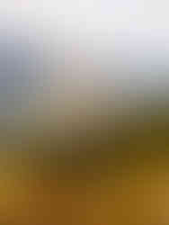 Wandern im Saanenland: In der Nähe von Zweisimmen und Gstaad hat es einzigartige Wanderungen