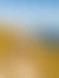 Bald am Ziel auf der Gratwanderung zum Pilatus