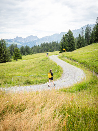 Der Weg schlängelt sich durch die Biosphäre Entlebuch