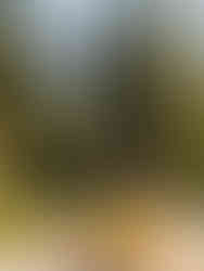 Picknick zum Feierabend auf der Krienseregg