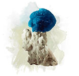 SmartSelect_20260101_220719_A Guide To Crystals - The CC.jpg