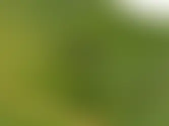 Los 4 consejos para distinguir un mosquito del dengue de un mosquito común