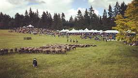 vashon.jpg