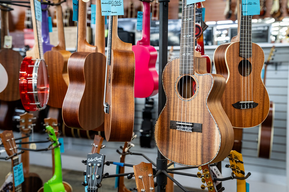 Woody's Music Store-328.jpg