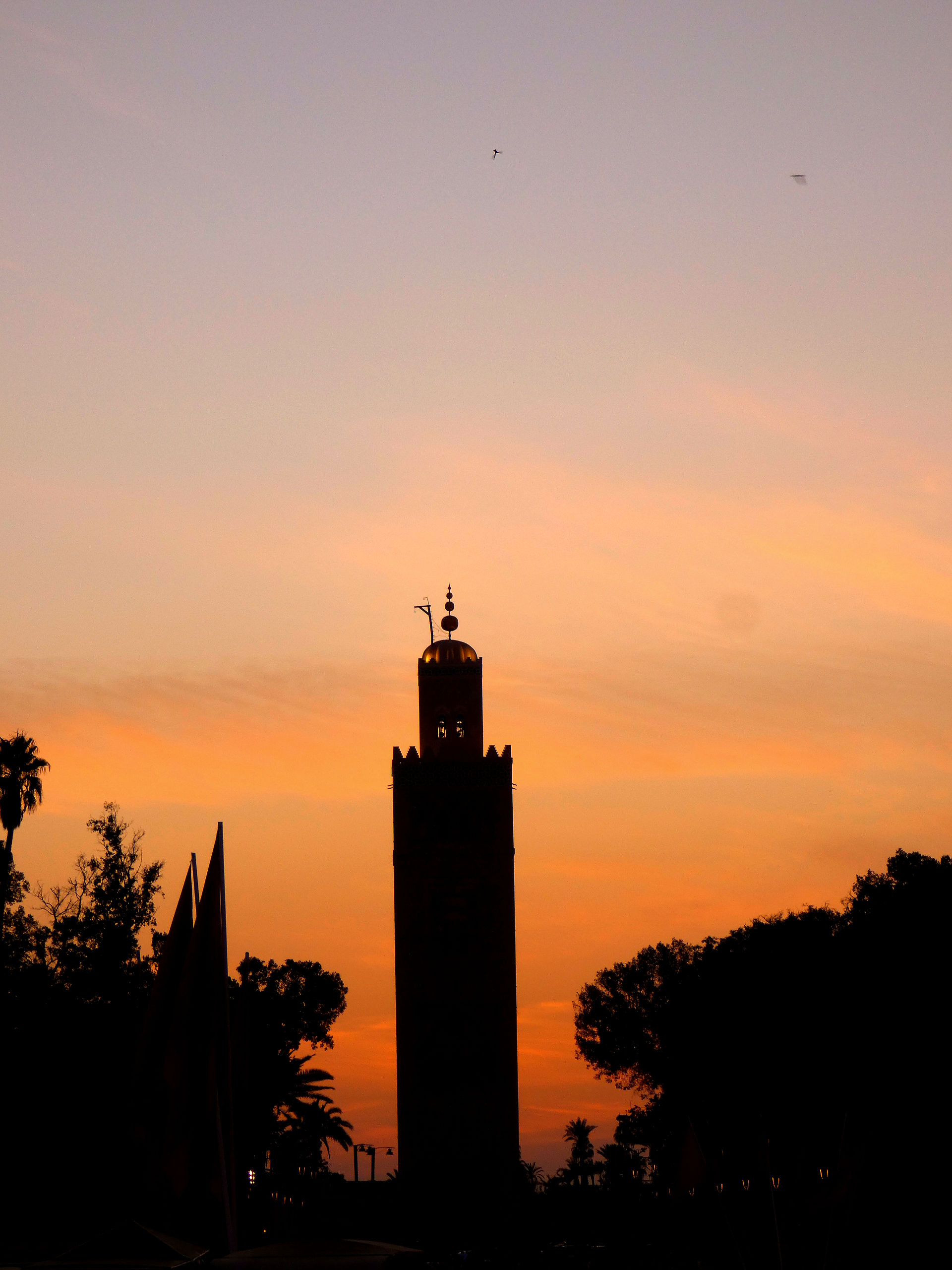 Mosquée la Koutoubia Marrakech