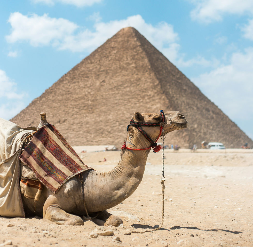 Travel to Egypt Informational Meeting