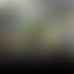 "Happy Together" explores the complex relationship between people and politics