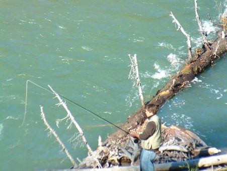 Catch and Release