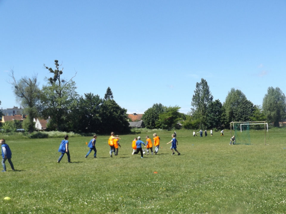 DSCF1461