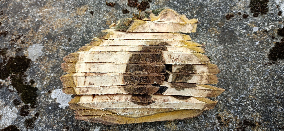 L'oeil