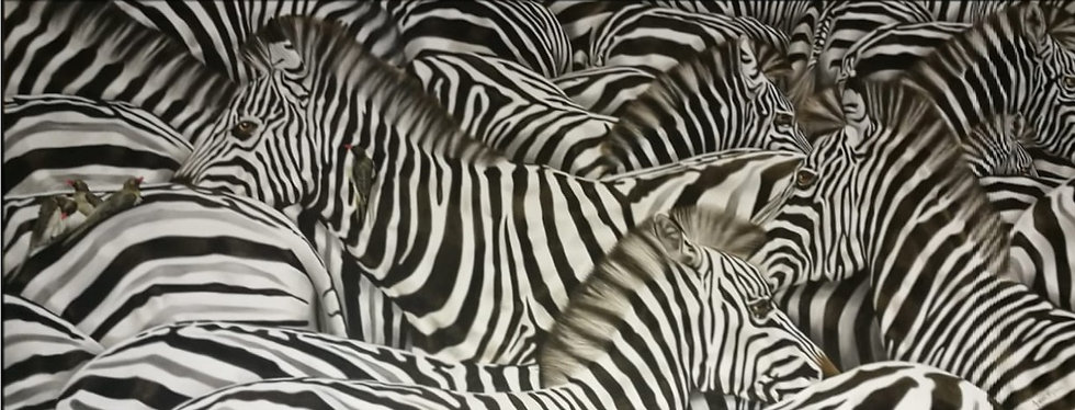 Zebra Herd | sembach-gallery