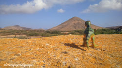 Guagua et les volcans