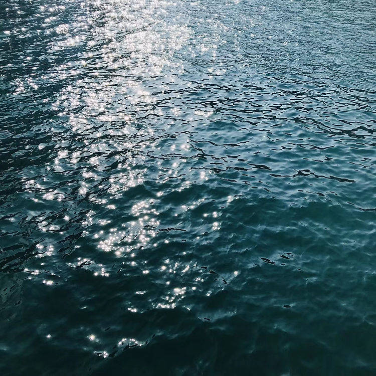 The Ocean