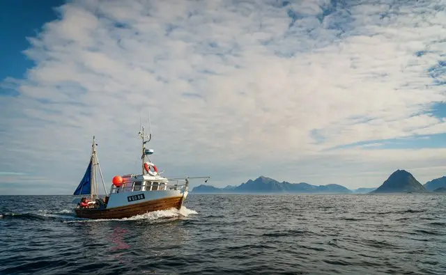 Frøya Gourmet - Fiskebåt.webp