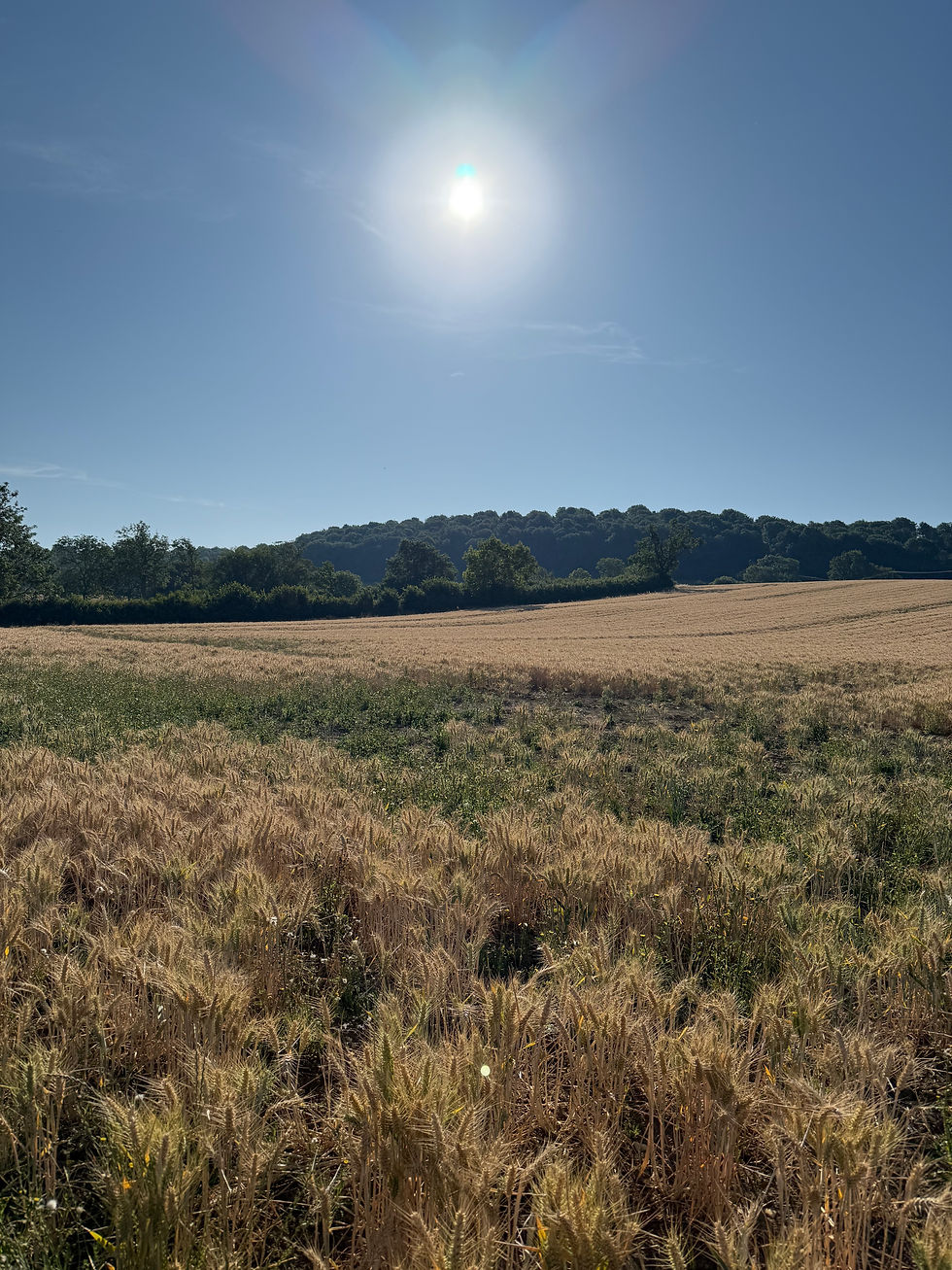 Open spaces and sunshine can give us a different perspective