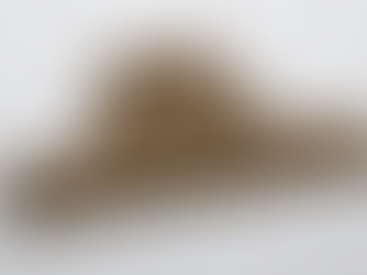 7 change management best practices from Adobe Workfront's Leigh Burger