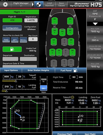 iPad screen H175.jpg