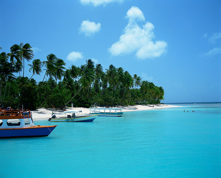 Tropical Island