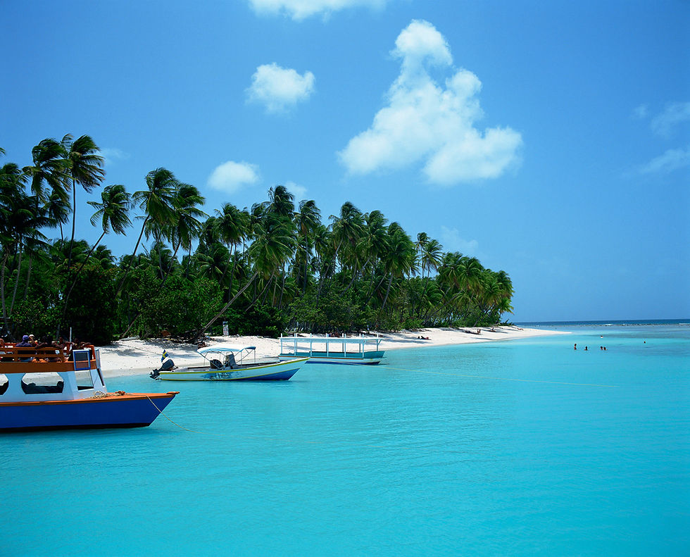 Tropical Island
