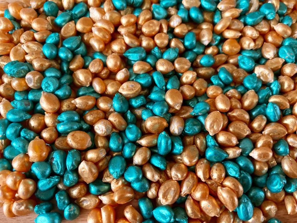 Gold & Green Mix Popcorn Kernels
