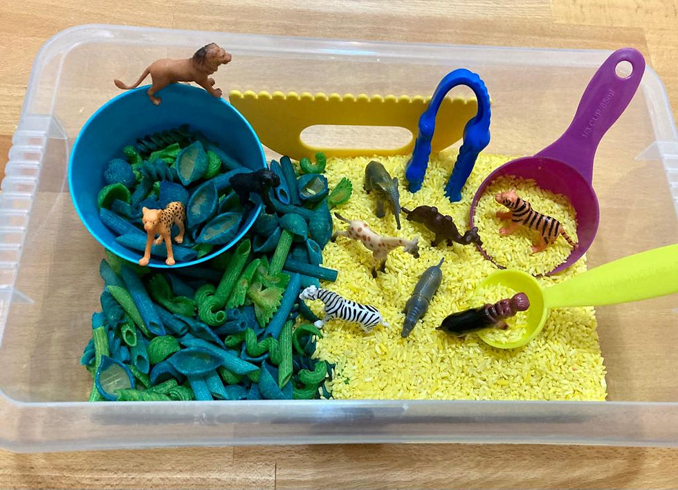 Thumbnail: Wild Animal Sensory Play Kit