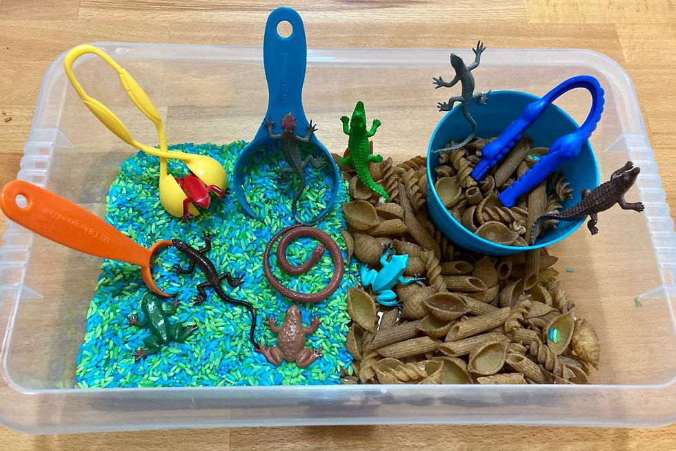 Thumbnail: Reptile/Amphibian Swamp Sensory Kit