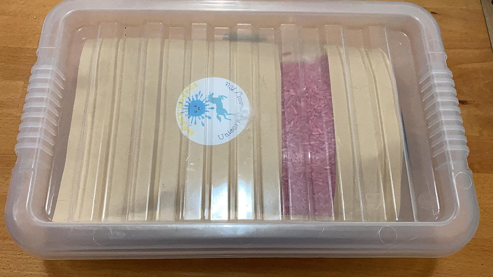 Thumbnail: Unicorn Sensory Play Kit