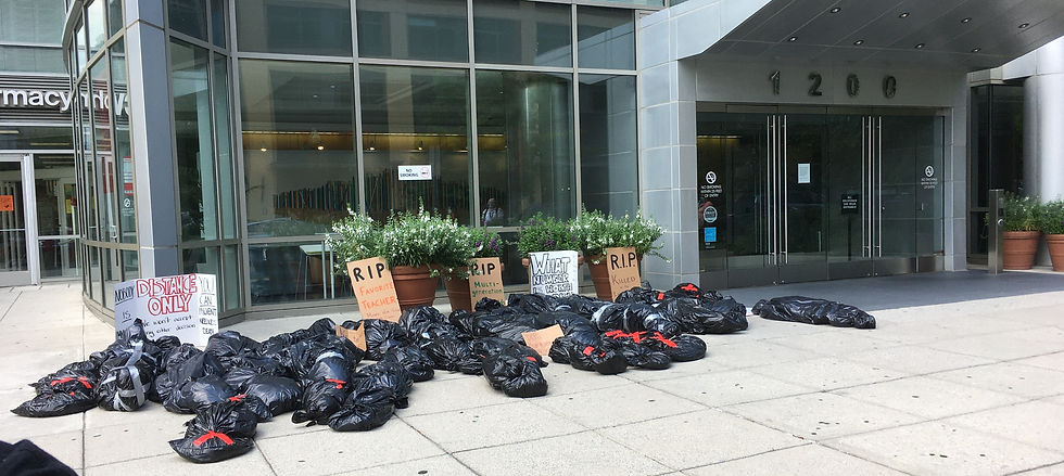 Body Bags