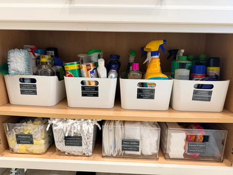 Cabinet organized by Nathalie with labeled bins of cleaning sprays, brushes, dusters, cloths, and sponges in white and clear containers.