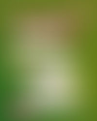 😋 Rico Menú para este Domingo 19 de abril de 2026