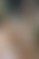 TRADER JOE’S VS. WHOLE FOODS