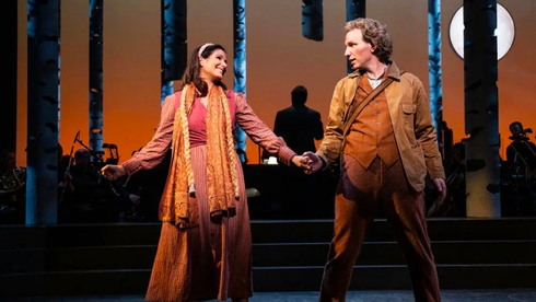 Boston is Going Into the Woods