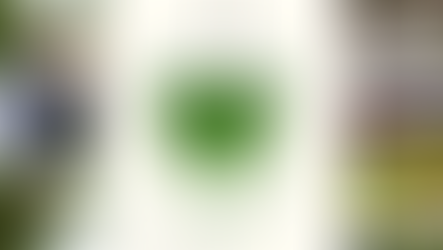 For All of BU's Performative, Matcha-loving Men: A Guide to Boston's Best Matchas