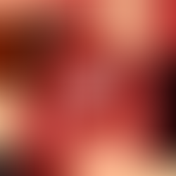 Exploring the Museum of Science