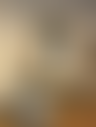 Spring Activities in Boston