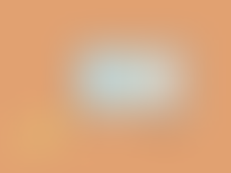 The Boston Apartment You Can’t Afford, but Will Probably Rent Anyway