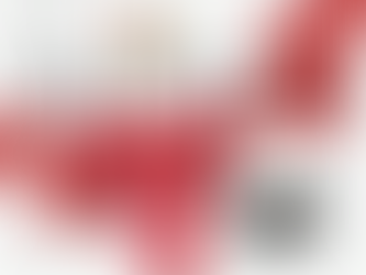 The Legacy of Valentino Garavani