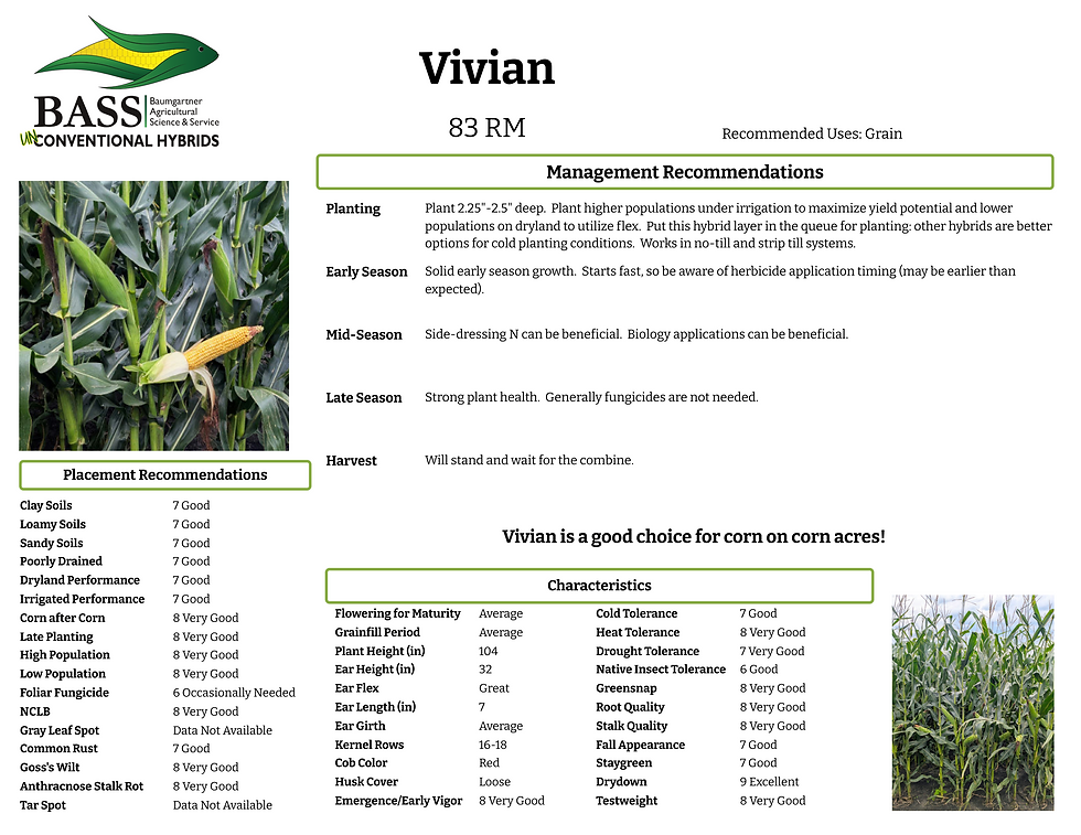 083 Vivian 20260901.png