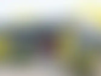 My First Job at McDonald's: Igniting a Passion for Success and Teaching Others