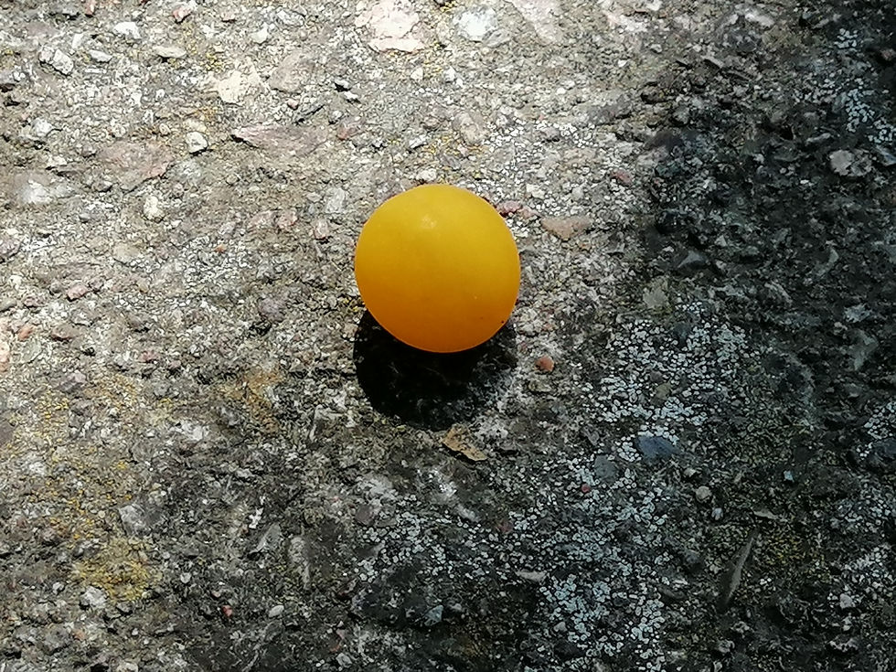 Gelbe Kugel auf grauem Untergrund