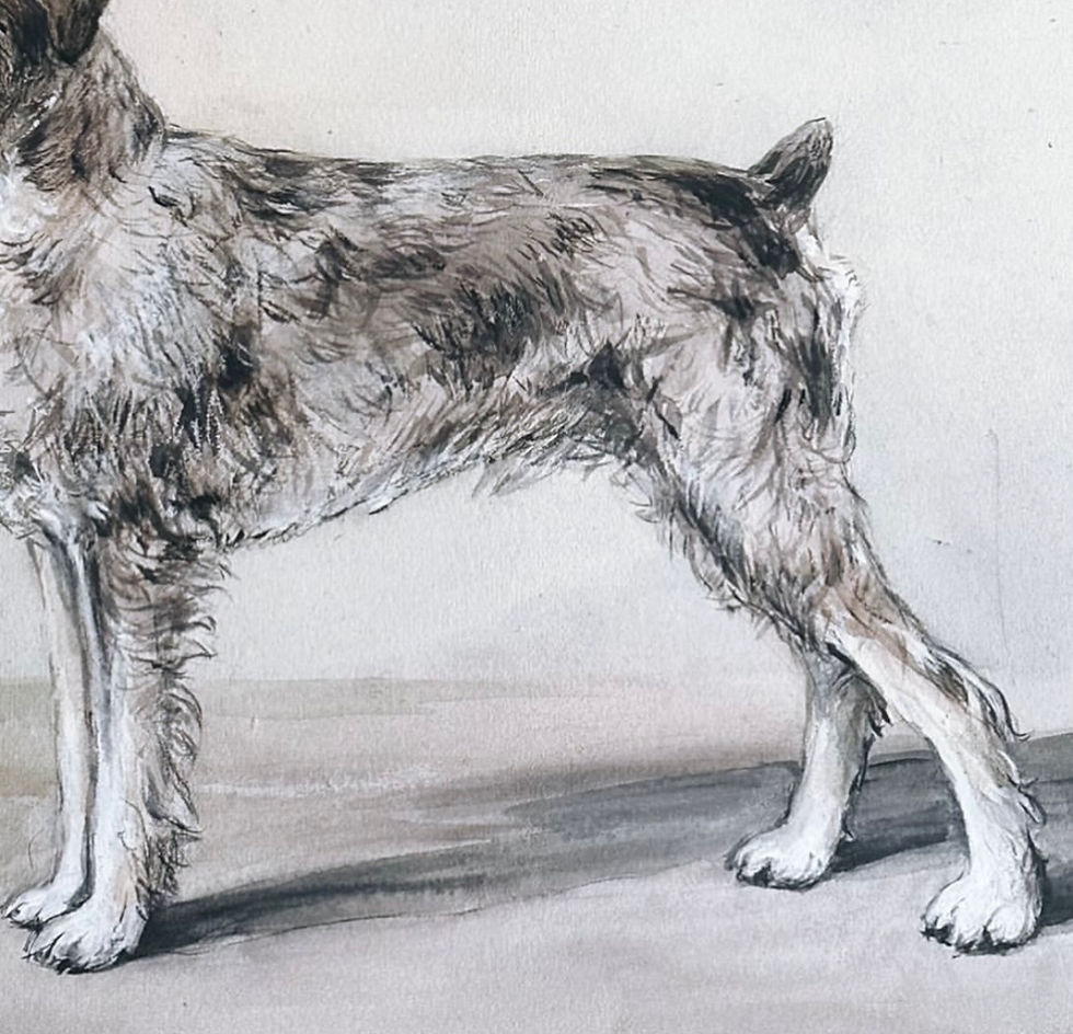 Thumbnail: A Framed Charcoal, Gouache & Watercolour Painting of a Parson Russell Terrier