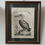 Thumbnail: Print of a Pelican by V. Vanni, c.1830