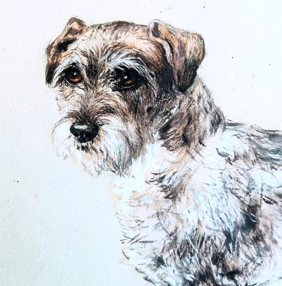 Thumbnail: A Framed Charcoal, Gouache & Watercolour Painting of a Parson Russell Terrier