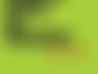 Hal Leonard Publishes Business Basics for Musicians