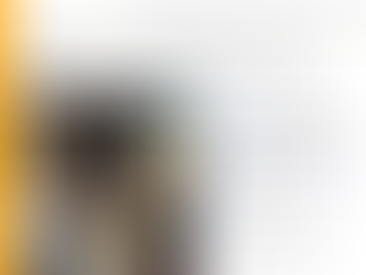 Tremendous value for money: The Austrian Audio OC16