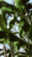 maurits-bausenhart-LURfLLNNWvQ-unsplash.jpg